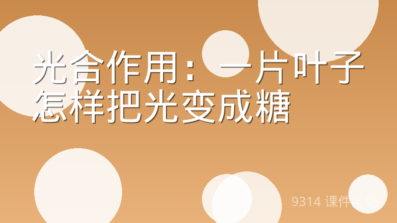光合作用：一片叶子怎样把光变成糖 - 9314 课件工坊
