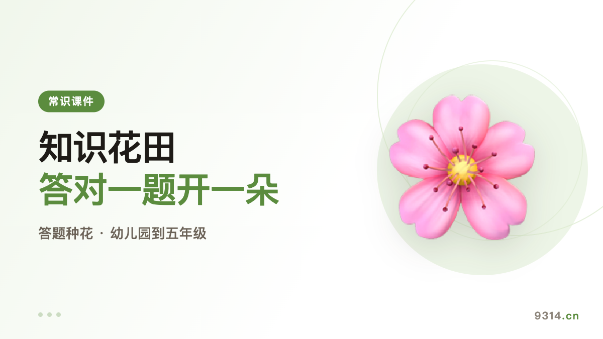Knowledge Flower Field: answer one question, grow one flower - 9314 Toolbox